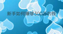 新手如何赚够300万的钱 赚300万够吗