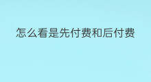 怎么看是先付费和后付费 预付费和后付费哪个好