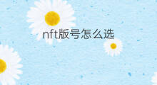 nft版号怎么选 nft公众号怎么写