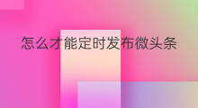 怎么才能定时发布微头条 头条怎么定时间发布微头条