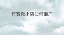 有赞微小店如何推广 什么是有赞微小店