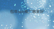 包年seo推广哪家好 潜江包年seo推广哪家好
