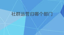 社群运营归哪个部门 社群运营归哪个部门管理
