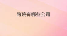 跨境有哪些公司 白云跨境公司有哪些