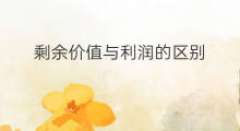 剩余价值与利润的区别 利润表与损益表的区别