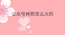 公众号林熙怎么火的 快手猫女林咋那么火