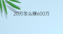 20万怎么赚600万 600万怎么赚