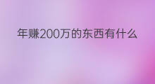 年赚200万的东西有什么 什么可以年赚200万