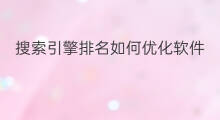 搜索引擎排名如何优化软件 宁波搜索引擎排名软件优化