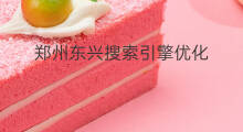 郑州东兴搜索引擎优化 郑州搜索引擎优化服务