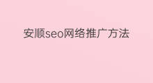 安顺seo网络推广方法 安顺seo网络推广费用