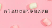 有什么好项目可以投资项目 投资有什么好项目