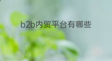 b2b内贸平台有哪些 内贸b2b平台哪个好