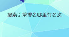 搜索引擎排名哪里有名次 搜索引擎排名哪里有名