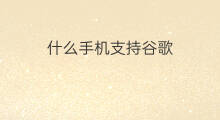 什么手机支持谷歌 手机不支持谷歌play怎么办