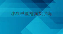小红书直播卖货了吗 小红书服装怎么卖货