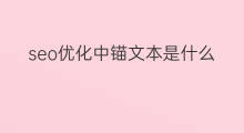 seo优化中锚文本是什么意思 seo中的锚文本是什么意思