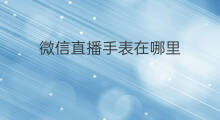 微信直播手表在哪里 微信微直播在哪里