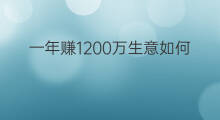 一年赚1200万生意如何 一年赚50万小生意怎么样