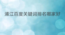 浦江百度关键词排名哪家好 达州百度关键词排名哪家好
