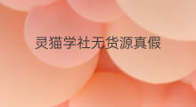 灵猫学社无货源真假 无货源网店真假