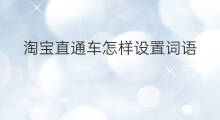 淘宝直通车怎样设置词语 淘宝直通车词语在哪里下载
