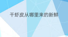 干虾皮从哪里来的新鲜 新鲜虾皮怎么做虾皮干