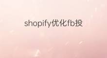 shopify优化fb投放 shopify投放优化师工资