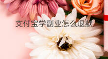 支付宝学副业怎么退款 支付宝支付费用