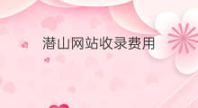 潜山网站收录费用 潜山网站收录费用标准