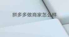 拼多多做商家怎么样 拼多多商家生意怎么样