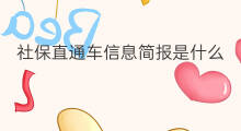 社保直通车信息简报是什么 社保直通车信息简报怎么写