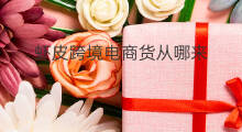 虾皮跨境电商货从哪来 跨境电商货从哪来