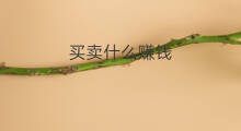 买卖什么赚钱 干什么买卖赚钱