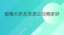 规模大的无货源公司哪家好 规模大的无货源哪家正规