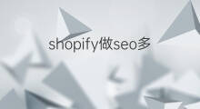 shopify做seo多久被收录 新店多久被收录