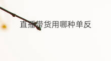 直播带货用哪种单反 直播带货有哪种运营