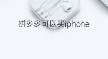 拼多多可以买iphone11吗 iphone拼多多有自营吗