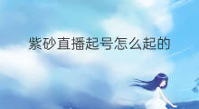 紫砂直播起号怎么起的 唱歌直播起号怎么起的