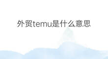 外贸temu是什么意思 temu什么意思