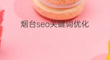 烟台seo关键词优化 烟台专业关键词优化平台
