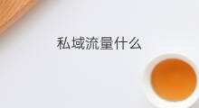 私域流量什么 什么是私域流量以及私域流量池