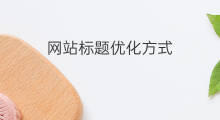 网站标题优化方式 网站标题优化