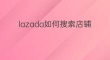 lazada如何搜索店铺名 lazada店铺名怎么修改