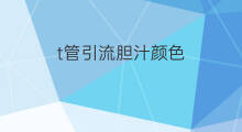 t管引流胆汁颜色 胆汁引流颜色变浅