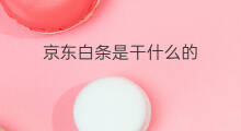 京东白条是干什么的 google是干什么的