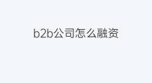 b2b公司怎么融资 b2b融资技巧