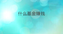 什么基金赚钱 哪种基金赚钱