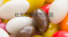 社交恐惧症的原因 得社交恐惧症原因