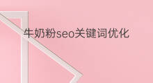 牛奶粉seo关键词优化 seo优化关键词